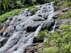 -马峦山郊野公园