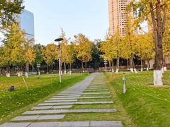 -重庆市江北嘴中央商务区中央公园