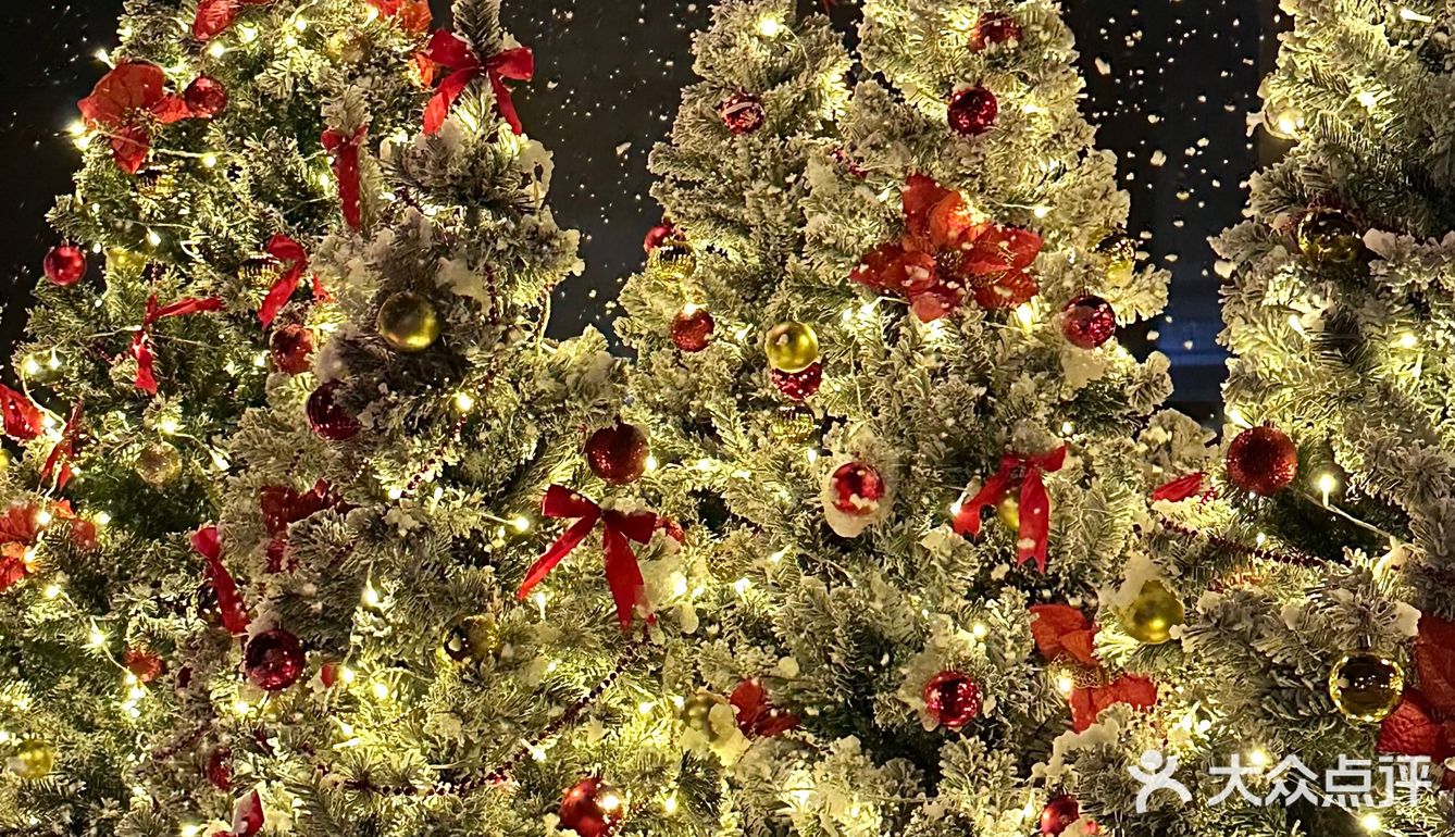 西湖边!室内圣诞树森林🌲好拍还不冷!!