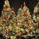 西湖边!室内圣诞树森林🌲好拍还不冷!!