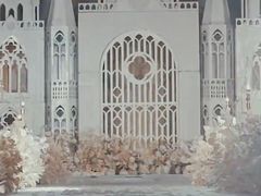 -广交会威斯汀酒店