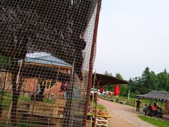 -五营红松林海景区