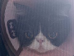 -瑞派福兴宠物医院犬猫全科·骨科·中西医结合(河东店)