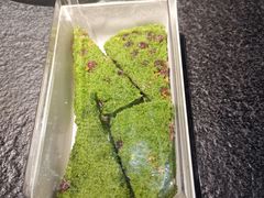 青豆糕-重八牛府之小有名气(大望路店)