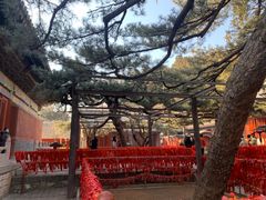 -红螺寺