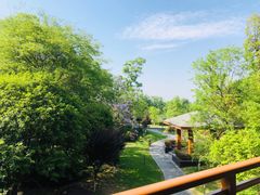 -成都安仁福朋喜来登酒店