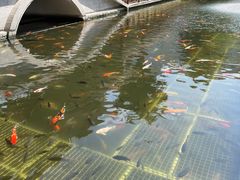 -番禺宾馆丽苑厅