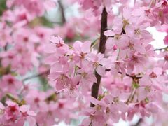 -艾溪湖湿地公园