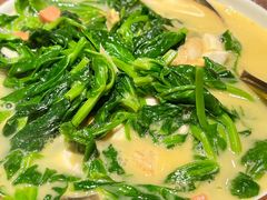 -麻都·成都菜(人民广场店)
