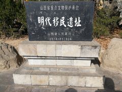 -大槐树寻根祭祖园