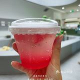 成都猫咖｜撸猫只有一次和无数次