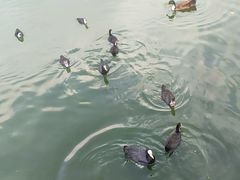 -前关湿地公园