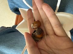 -小栗王(木渎店)