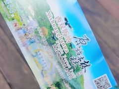 -西双版纳原始森林公园