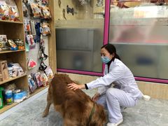 -全心全意连锁动物医院(石景山店)