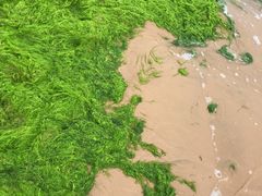 -青岛银沙滩