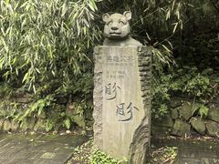 -都江堰中华大熊猫苑