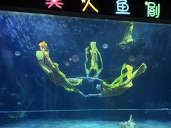 -邯郸海洋世界