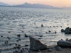 -深圳湾公园(南山区)