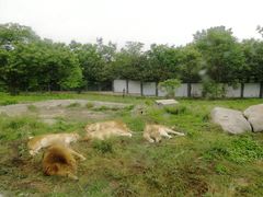 -西安秦岭野生动物园