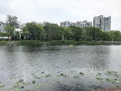 -新江湾城公园