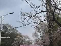 -吉林大学(南岭校区)