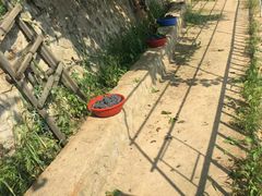 -欢乐农家采摘园