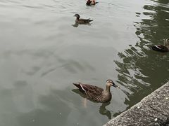 -杭州黄龙洞