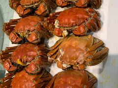 -苏州太湖国际高尔夫俱乐部