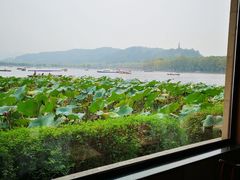 -湖畔居茶楼(湖滨店)