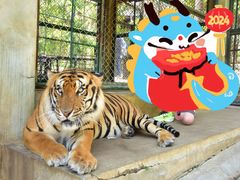 -清迈夜间动物园