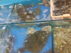 -沟北海边饭店(海埠路店)