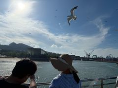 -海驴岛(荣成市)