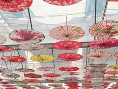 -广东花都香草世界旅游度假区