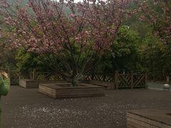 -贵阳市花溪国家城市湿地公园