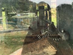 -泉州海丝野生动物世界