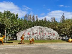 -上海海湾国家森林公园