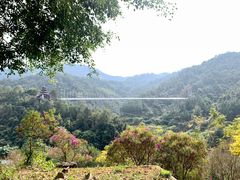 -广东天露山旅游度假区