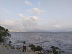 -深圳湾公园(南山区)