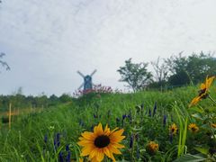 -铁山坪森林公园