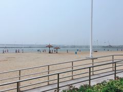 -碧海金沙