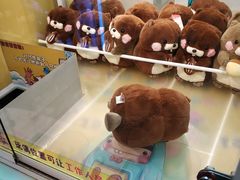 -PAWTOY爪e玩偶店(天兴罗斯福店)