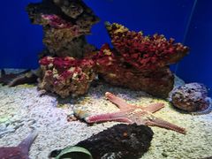 -海合安青岛极地海洋公园