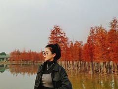 -白鹭湾湿地公园