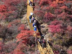 -水峪民俗村