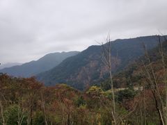 -广州市石门国家森林公园
