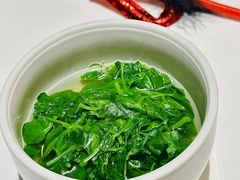 -西郊5号·Maggie 5