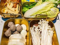 -Darling Queen·Mini·Live·House