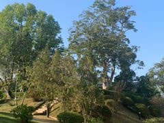 景观位-香港赛马会双鱼河会所