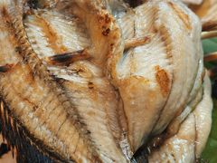 小罗非鱼-杨合林啊兰烤鱼